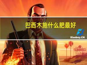 巴西木施什么肥最好