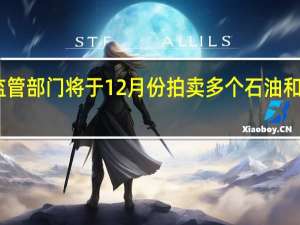 巴西监管部门将于12月份拍卖多个石油和天然气区块