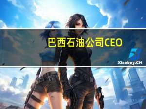 巴西石油公司CEO：巴西总统卢拉没有要求巴西石油公司保持价格稳定