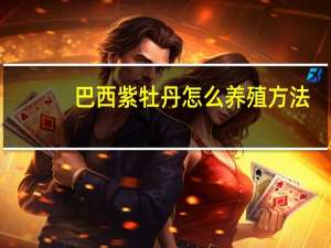 巴西紫牡丹怎么养殖方法