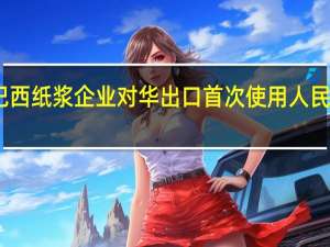 巴西纸浆企业对华出口首次使用人民币结算