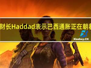 巴西財(cái)長(zhǎng)Haddad表示巴西通脹正在朝著目標(biāo)前進(jìn)