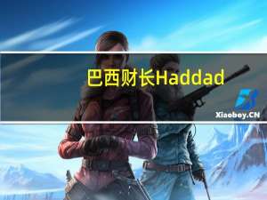 巴西财长Haddad：今年的收入增长速度不如我们预期的快