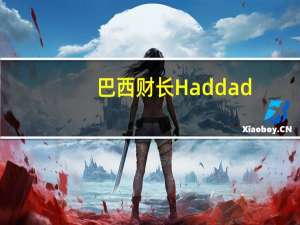 巴西财长Haddad：巴西央行委员会最初将利率下调50个基点的决定是正确的经济已经开始放缓