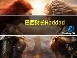 巴西财长Haddad：巴西税制改革可能仍在2023年实施