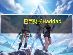 巴西财长Haddad：巴西税制改革可能在11月初进行投票