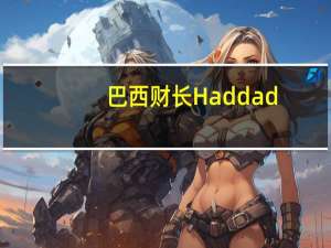 巴西财长Haddad：我们必须以正确的方式帮助财政框架发挥作用以实现政府收入