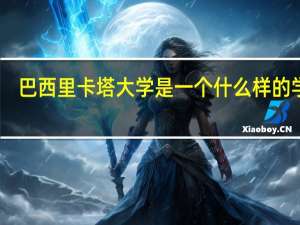 巴西里卡塔大学是一个什么样的学校