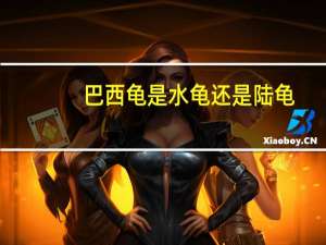 巴西龟是水龟还是陆龟