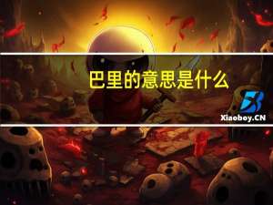 巴里的意思是什么