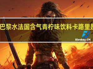 巴黎水 法国含气青柠味饮料卡路里是多少