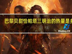 巴黎贝甜 恰帕塔三明治的热量是多少