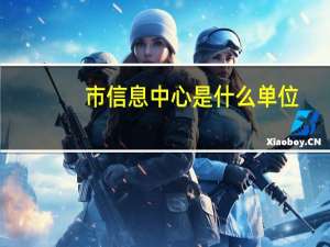 市信息中心是什么单位