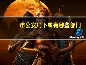 市公安局下属有哪些部门