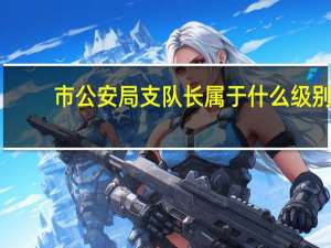 市公安局支队长属于什么级别