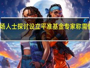 市场人士探讨设立平准基金 专家称需慎重对待