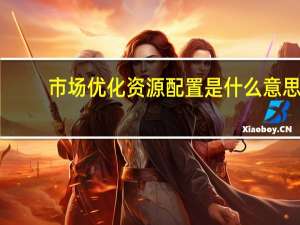 市场优化资源配置是什么意思（资源配置是什么意思）