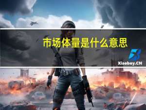 市场体量是什么意思