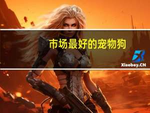 市场最好的宠物狗