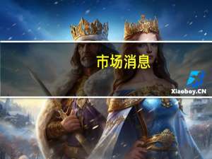 市场消息：沃尔格林（Walgreen）首席执行官罗兹·布鲁尔（Roz Brewer）辞职