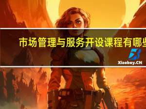 市场管理与服务开设课程有哪些