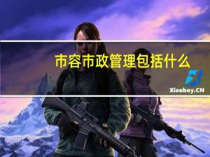 市容市政管理包括什么