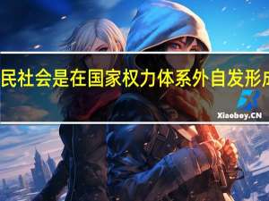 市民社会是在国家权力体系外自发形成的一种（市民社会的发展对于国家权力体系的民主化有什么样的意义）