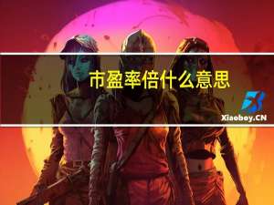 市盈率倍什么意思