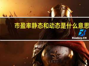 市盈率静态和动态是什么意思（市盈率看动态还是静态）