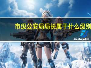市级公安局局长属于什么级别