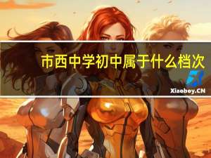 市西中学初中属于什么档次