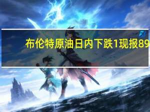 布伦特原油日内下跌1%现报89.50美元/桶；WTI原油现跌0.96%