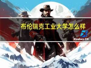 布伦瑞克工业大学怎么样