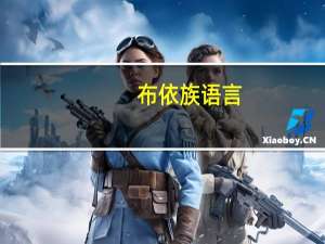 布依族语言