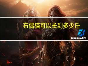 布偶猫可以长到多少斤