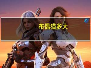 布偶猫多大
