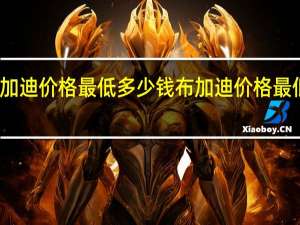 布加迪价格最低多少钱 布加迪价格最低多少钱