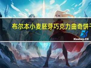 布尔本 小麦胚芽巧克力曲奇饼干(咖啡味)卡路里是多少
