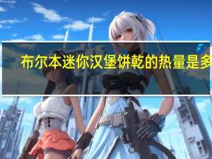 布尔本 迷你汉堡饼乾的热量是多少