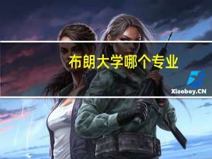 布朗大学哪个专业