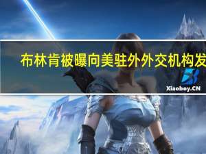 布林肯被曝向美驻外外交机构发函：如东道国哀悼加沙医院遇难者美使领馆也可降半旗