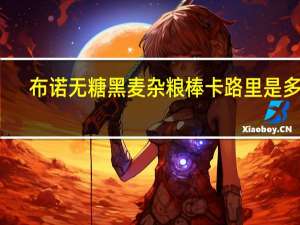 布诺 无糖黑麦杂粮棒卡路里是多少