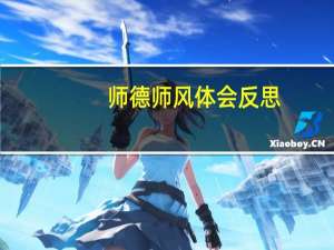 师德师风体会反思