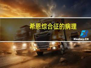 希恩综合征的病理（希恩综合征是什么病）