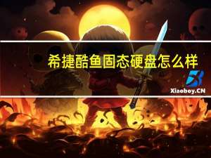 希捷酷鱼固态硬盘怎么样