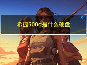 希捷500g是什么硬盘（500g希捷硬盘价格）