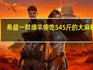 希腊一群绵羊偷吃545斤的大麻植物：然后 怪异了