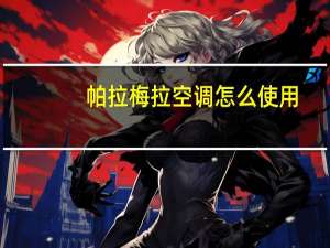 帕拉梅拉空调怎么使用