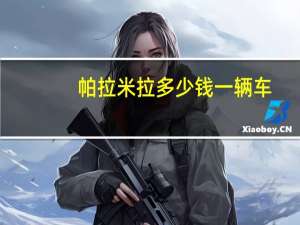 帕拉米拉多少钱一辆车（帕拉米拉）
