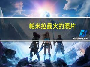 帕米拉最火的照片（帕米拉）